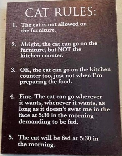 Screenshot 2024-02-25 160535