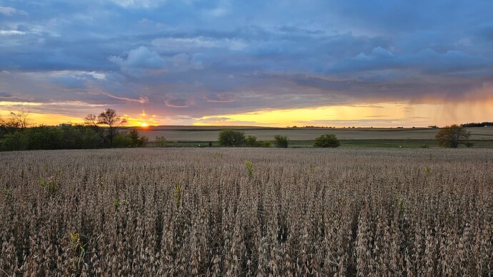 sunset
