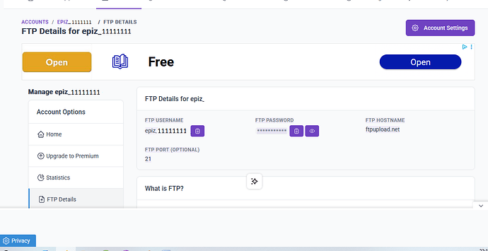 FTP 1