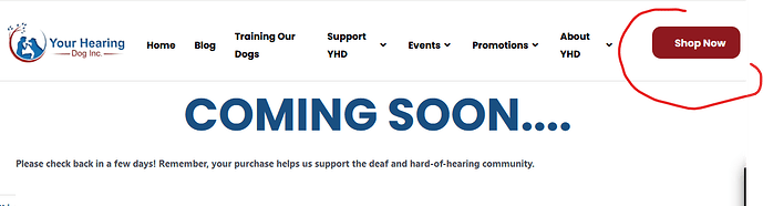 Screenshot 2022-11-09 112041