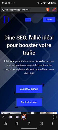 Screenshot20260511-083002.Brave