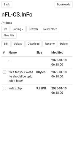 Screenshot_2026-01-31-11-13-19-155_com.fanglz.android.filemanager-edit