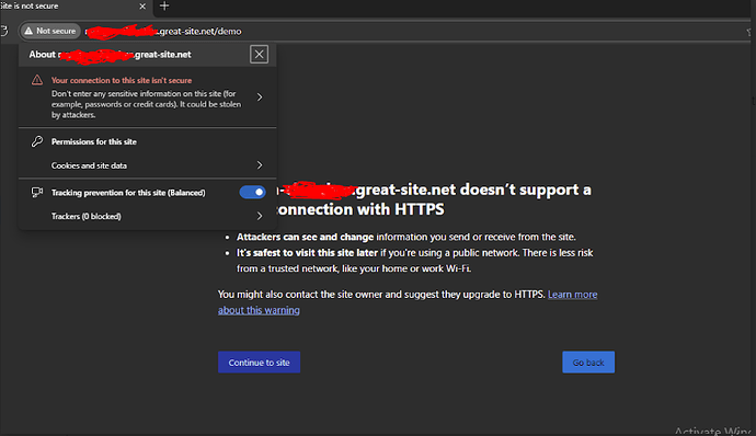 great-site not enforcing https