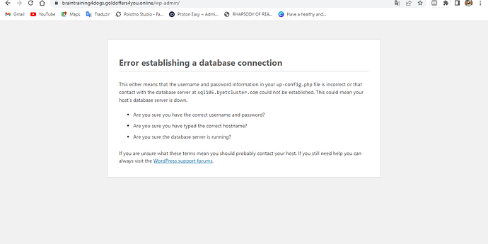 WordPress › Error - Google Chrome 29_07_2023 13_39_47