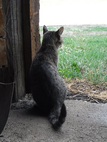 Mama in her solitude