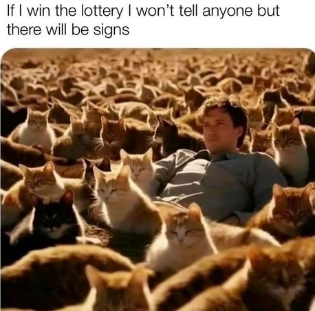 Screenshot 2024-02-21 200606