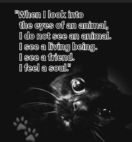 Screenshot 2024-02-21 194204